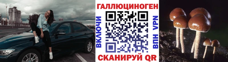 Псилоцибиновые грибы мухоморы Калачинск