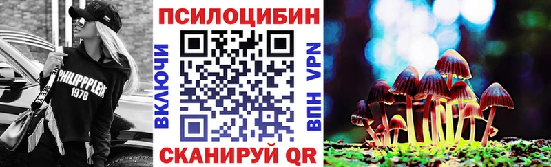 Псилоцибиновые грибы Psilocybe  Калачинск 